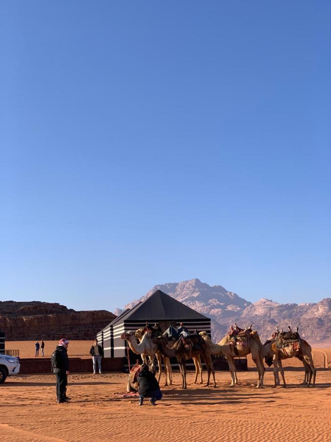 Rum Crown Wadi Rum Eksteriør billede